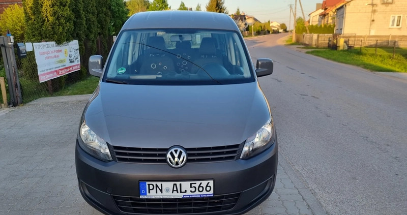 Volkswagen Caddy cena 39900 przebieg: 184000, rok produkcji 2012 z Sulechów małe 436